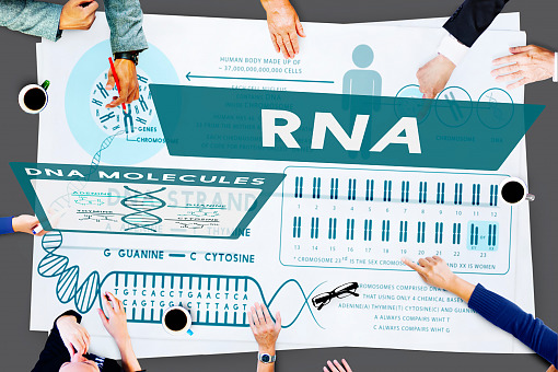 Terapie RNA mogą zrewolucjonizować leczenie padaczki